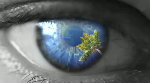 Dream vacation Stock Footage 20494150