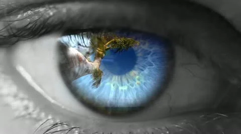 Dream vacation Stock Footage 20494269