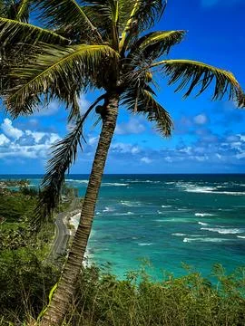 Dream vacation Stock Photos