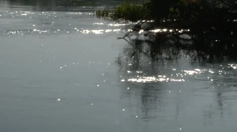 Dream3 Stockbeeldmateriaal 890916