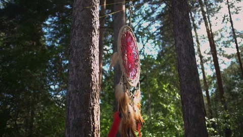 Dreamcatcher in the forest Stock Footage 113861961