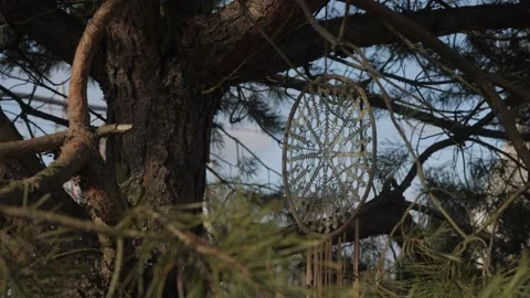 Dreamcatcher hanging on a tree Stock Footage 221232794