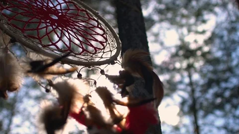 Dreamcatcher on a tree in the forest sways in the wind Free Stock Footage 113905071