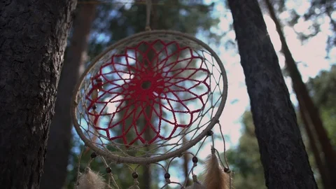 Dreamcatcher on a tree in the forest sways in the wind Stock Footage 113906662