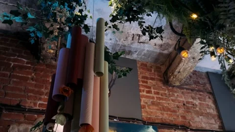 Dreamcatcher on a tree in the forest sways in the wind. Slow motion	 Stock Footage 246584050