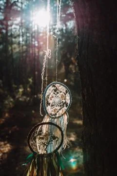Dreamcathers in the foreat Stock Photos