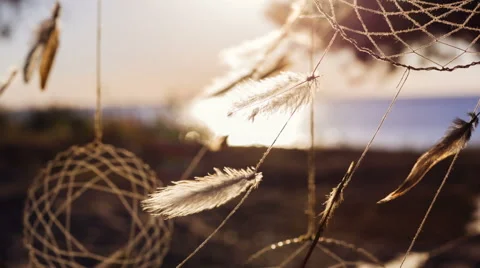 Dreamcathers hanging on the tree at sunset Stock Footage 53790581