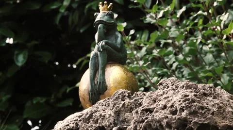 Dreaming Frog Close Shot Stock Footage 41863597