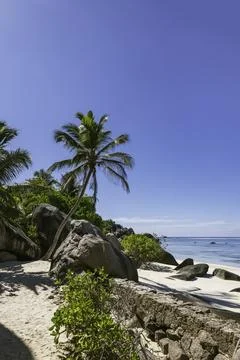 Dreamlike Anse Source d'Argent Stock Photos