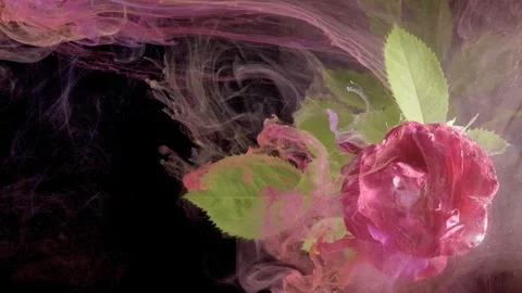 Dreamlike environment featuring gentle smoke and greenery elements Stock Footage 334675214