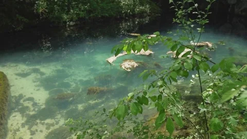 Dreamlike footage capturing see through clear lake Krupajsko vrelo in woods Stock Footage 270501266