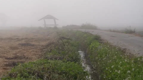 Dreamlike realm where rice fields emerge from the mist Stock Footage 273163239