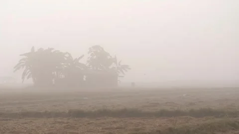 Dreamlike realm where rice fields emerge from the mist Stock Footage 273163258