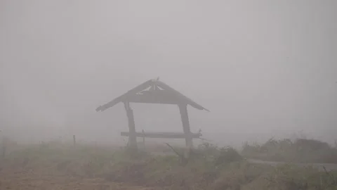 Dreamlike realm where rice fields emerge from the mist Stock Footage 273163506