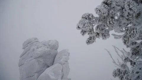 Dreamlike winter forest after snowfall and icy rocks on the mountain. Stock Footage 129546916
