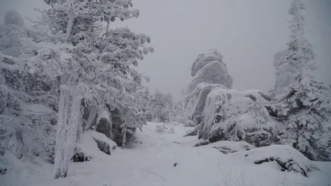 Dreamlike winter forest after snowfall and icy rocks on the mountain. Stock Footage 129546917