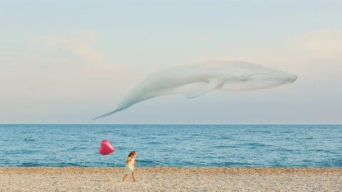 Dreams Come True 스톡 동영상 119219078