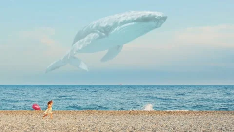 Dreams Come True Vidéo 131013335