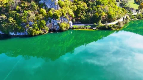 Dreams Floating Through Forest Water Stock Footage 313669829