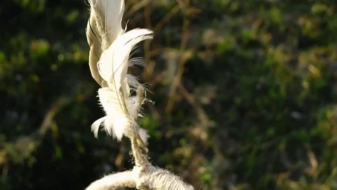 Dreamсatcher  in a field in the wind Stock Footage 74636297