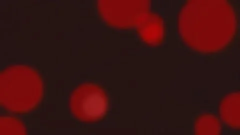 Dreamy abstract bokeh effect background with glowing multi-colored lights o.. Stock Footage 337162528