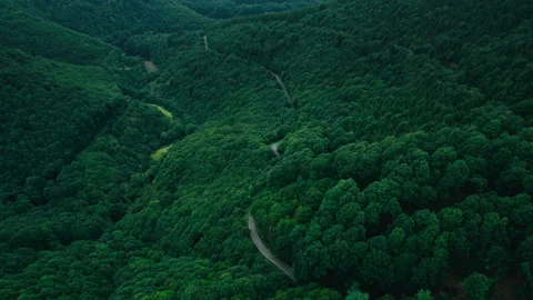Dreamy Basque Country Euskadi mountain and forest 4K drone Stock Footage 239461245