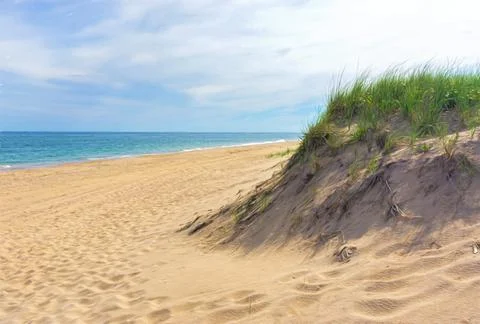 Dreamy Beach View Stock Photos