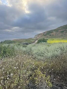 Dreamy Clouds Over Golf Course During California Superbloom Stock Photos