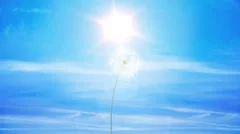 Dreamy Dandelion Logo Reveal - AE Version 5 Stock After Effects
