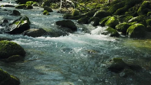Dreamy forest stream with mossy rocks in slow motion Video stock 341436765