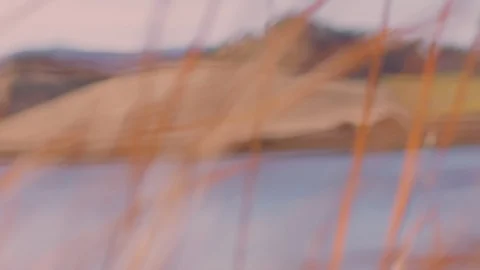 Dreamy Grass drifting bokeh soft focus in slow motion 스톡 동영상 88749326