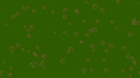 Dreamy iridescent soap bubbles floating in deep violet abstract space Stock Footage 335463097