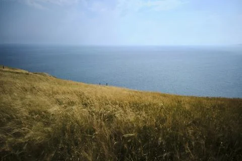 A dreamy landscape Stockfoto's