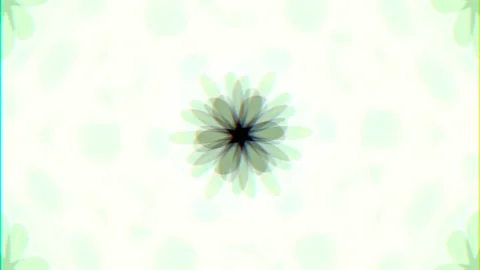 Dreamy pastel floral pattern, soft abstract spring blossom background loop Stock Footage 333435970