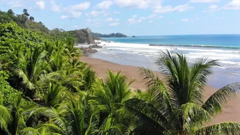Dreamy pristine beach with jungle hillside, exotic palm trees, relaxing waves Stock Footage 154344745