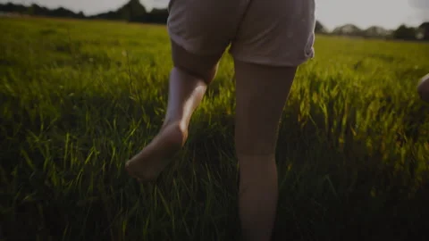 Dreamy Run Through Nature field Stock Footage 262576409