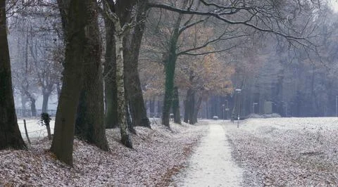 Dreamy show covered path Stock Photos