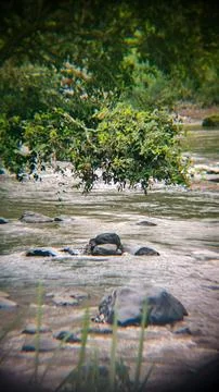 A dreamy, soft-focus view of a river flowing over rocks. Stock Photos