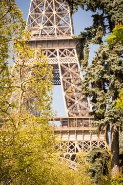 Dreamy spring details of the Eiffel Tower - Paris Foto stock