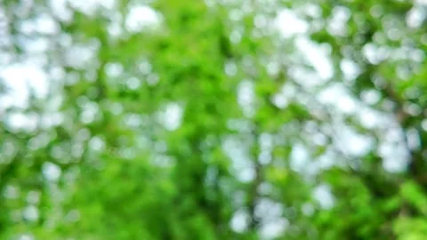 Dreamy springtime bokeh glimmers with radiant green colors, providing ether.. Stock Footage 330986437