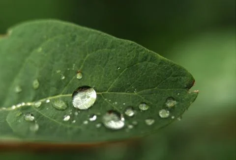 Dreamy sunset colours in thuringia Stock Photos