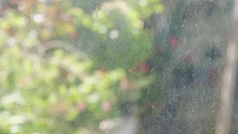Dreamy Swing Garden Stock Footage 109208070