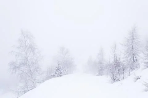 Dreamy winter environment Stock Photos