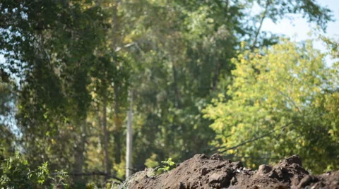 Dredge Stock Footage 1008703