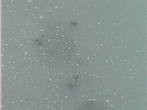 Dredging and oil drilling has ruined miles of ocean, and eventually every form Video stock 75183720