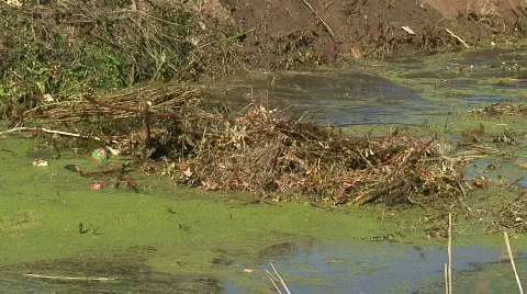 Dredging a canal Stock Footage 568041