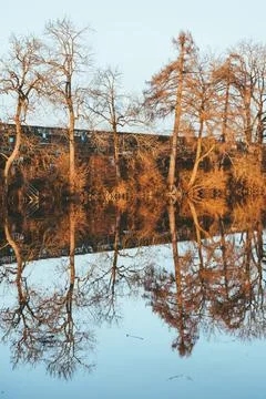 Drei Weihern or three lime trees in St.Gallen, Switzerland Stock Photos
