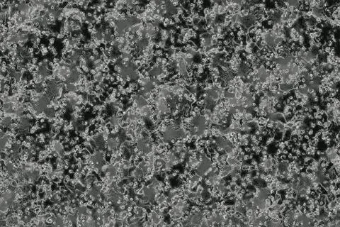 Drenched texture of a liquid with gas bubbles Stock Photos