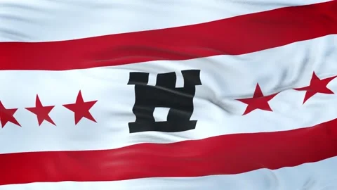 Drenthe flag waving in the wind with highly detailed fabric texture Video stock 139380189