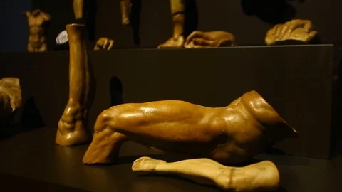 Dresden Gallery Sculpture Stock Footage 123607669
